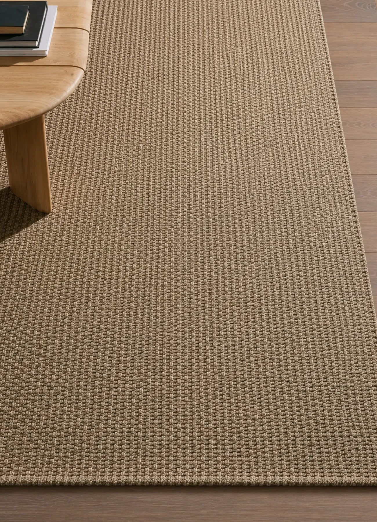 Hotcher Handwoven Outdoor Rug